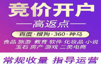 关键词竞价排名实战案例精选解析